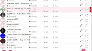 AudFree Apple Music Converter screenshot