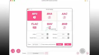 AudFree Auditior screenshot