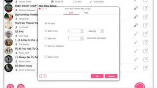 AudFree Auditior screenshot