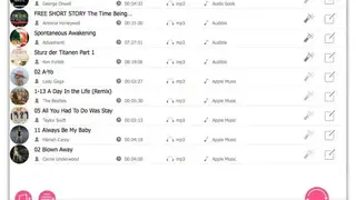 AudFree Auditior screenshot