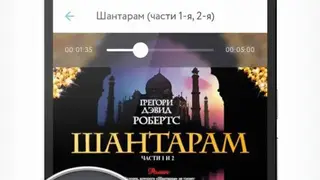 Audiobooks online and without internet. Gramophone screenshot