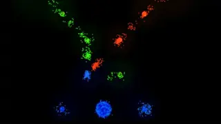 Auralux screenshot