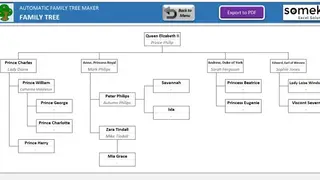 Automatic Family Tree Maker in Excel screenshot