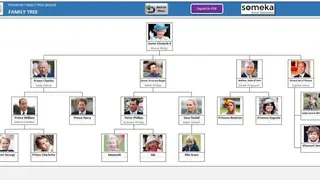 Automatic Family Tree Maker in Excel screenshot
