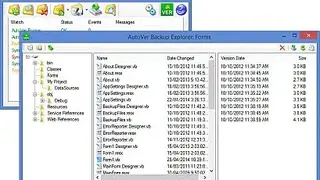 AutoVer screenshot