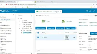 Avamar screenshot