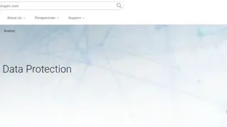 Avamar screenshot