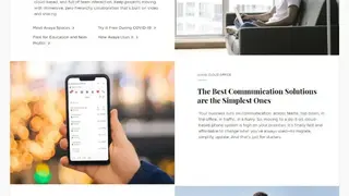 Avaya screenshot