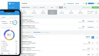 Avaza screenshot