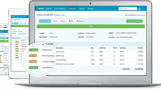 Avaza screenshot