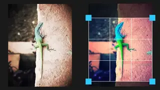 Aviary Photo Editor screenshot
