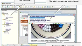 Awasu screenshot