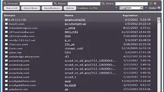 Awesome Cookie Manager screenshot