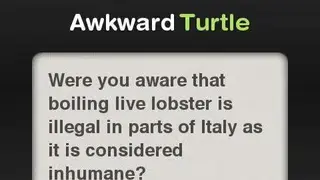 Awkward Turtle screenshot
