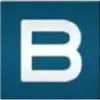 B-processor