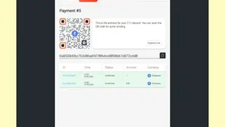 B2BinPay screenshot
