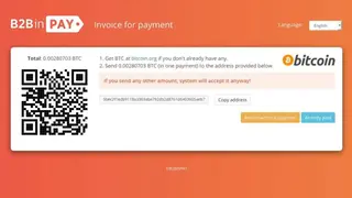 B2BinPay screenshot