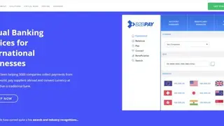 B2Bpay screenshot