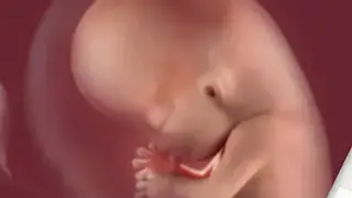 BabyCenter screenshot