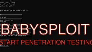 BabySploit screenshot