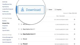 BackBlaze screenshot