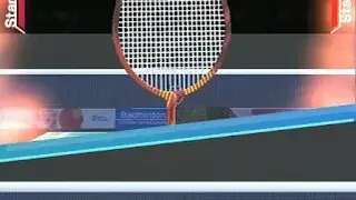 Badminton3D Real Badminton Game screenshot