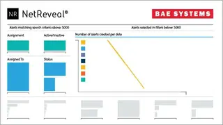 BAE Systems NetReveal screenshot