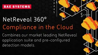 BAE Systems NetReveal screenshot