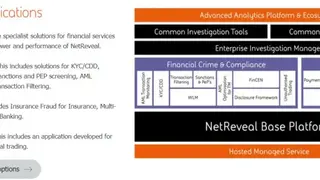 BAE Systems NetReveal screenshot
