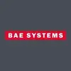BAE Systems NetReveal
