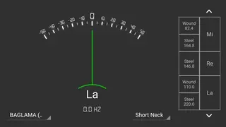 Baglama Tuner screenshot