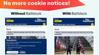 Baitblock screenshot