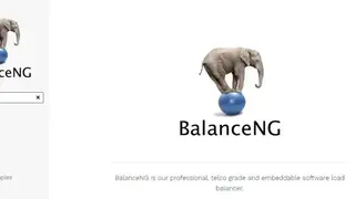 BalanceNG screenshot