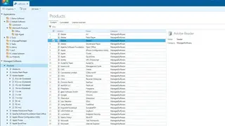 Baramundi Management Suite screenshot