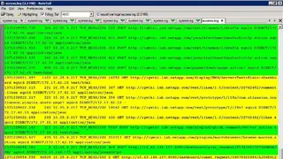 BareTail screenshot