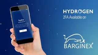 Barginex screenshot