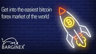 Barginex screenshot