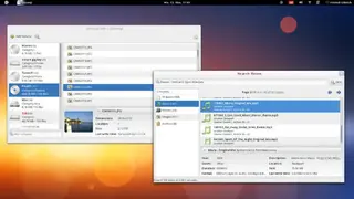 Basenji screenshot