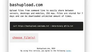 Bashupload screenshot