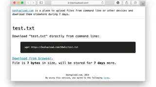 Bashupload screenshot