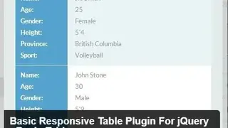 Basic Responsive Table Plugin For jQuery screenshot