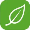 Basil by Indy Dish