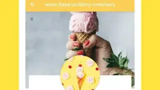 Baya screenshot