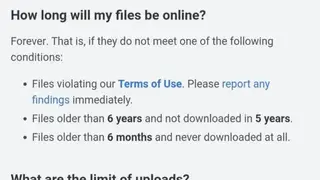 Bayfiles screenshot