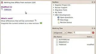 Bazaar screenshot