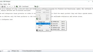BDV Notepad screenshot