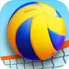 Beach Volleyball 3D