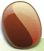 Bean