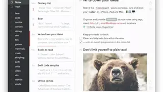 Bear screenshot