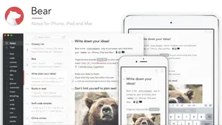 Bear screenshot